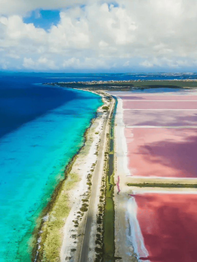 Vibrant salt flats and turquoise ocean shoreline in coastal desert landscape.