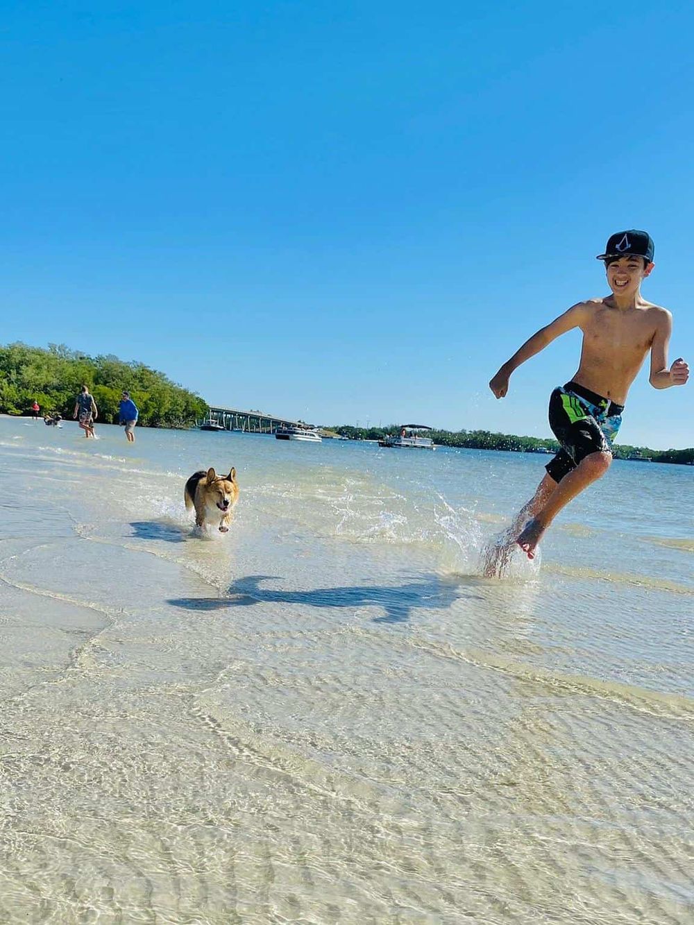 Kids and dog playing at the beach, enjoying water recreation and outdoor family activities.