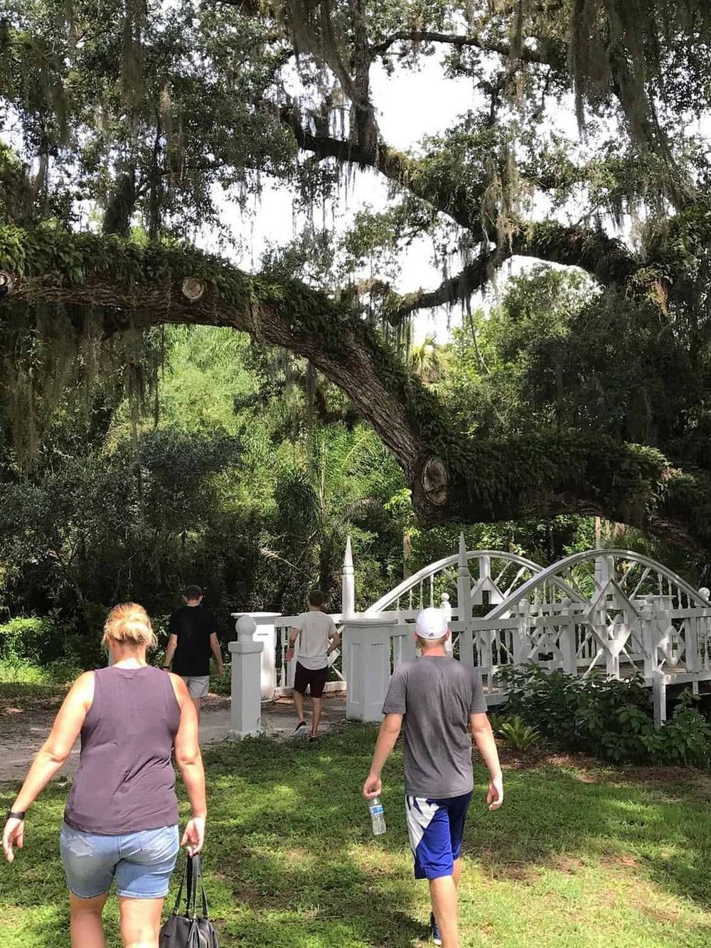Lush forest with a white decorative fence and people walking towards it, in a nature-inspired setting.