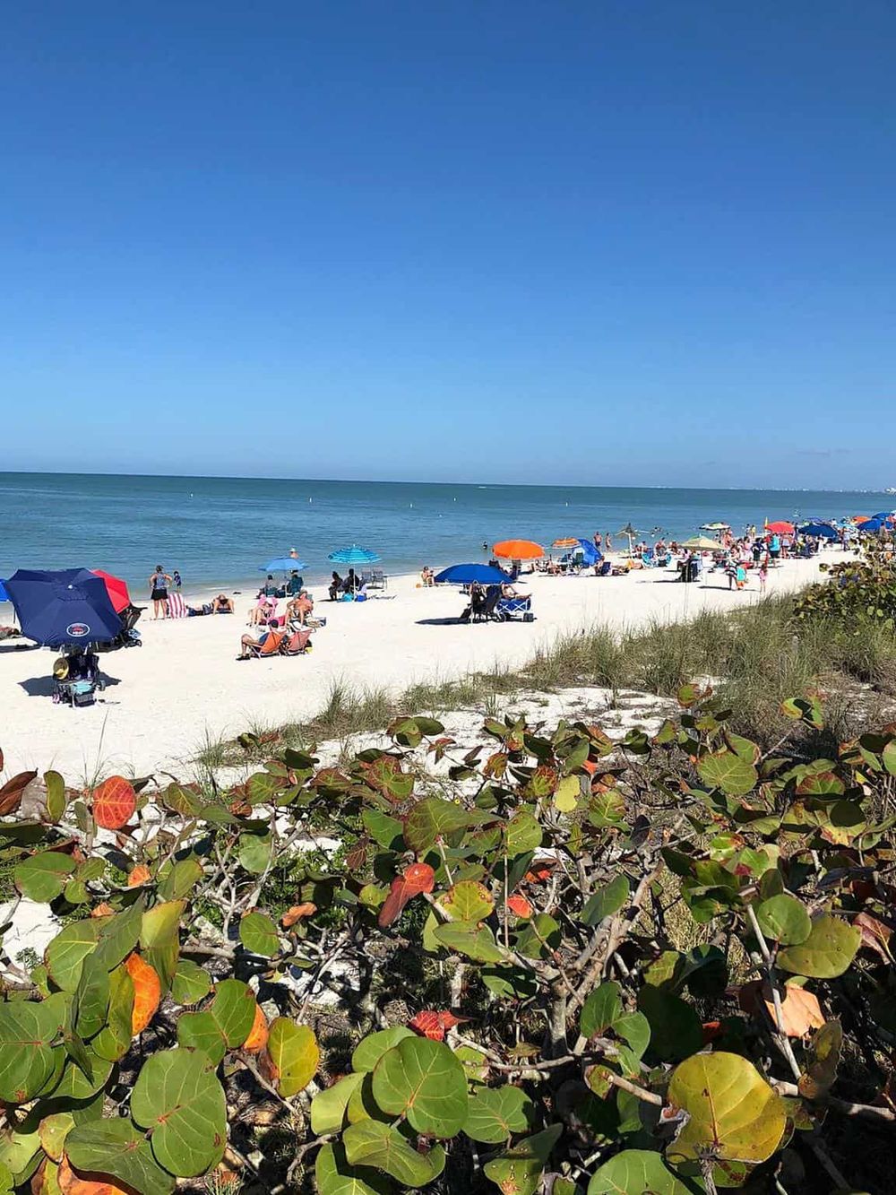 Bright beach with colorful umbrellas and people relaxing by the ocean, scenic coastal destination in sunny weather.