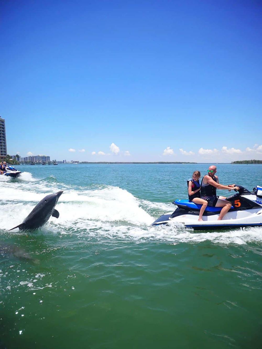 Jet ski riding with dolphins, water adventure, Miami beach, marine wildlife, outdoor fun activity.