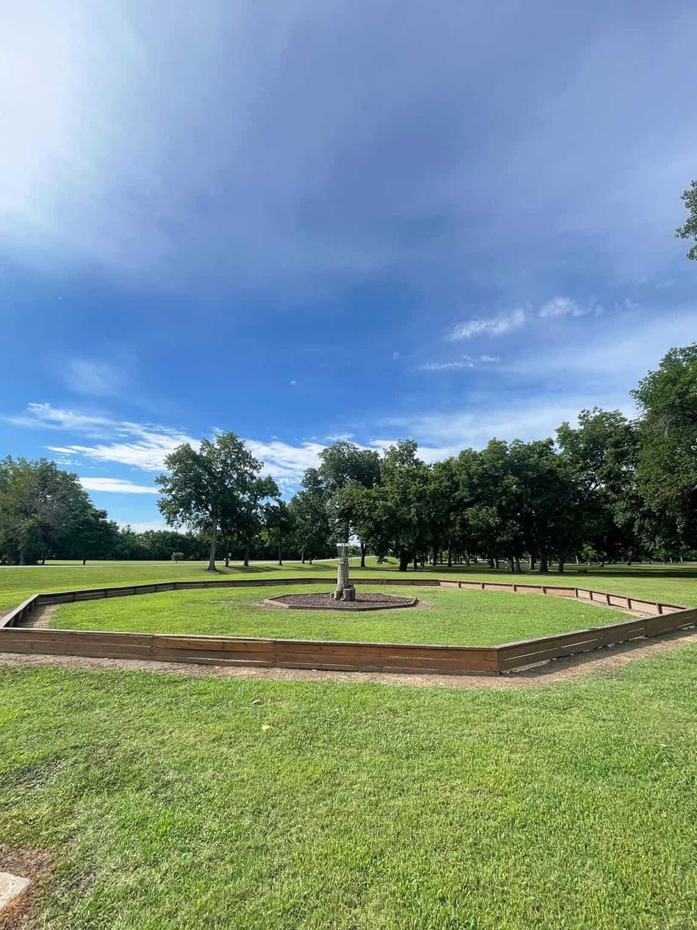 Open outdoor park with a tree in the center and a bright blue sky, perfect for navigation and outdoor activities.