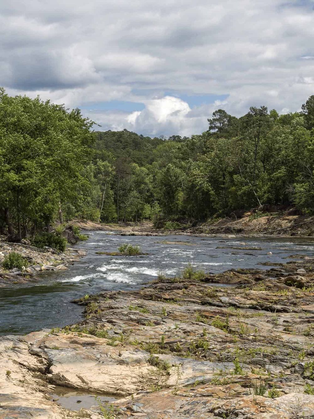 Serene river flowing through lush green forest with cloudy sky, perfect for outdoor adventures.