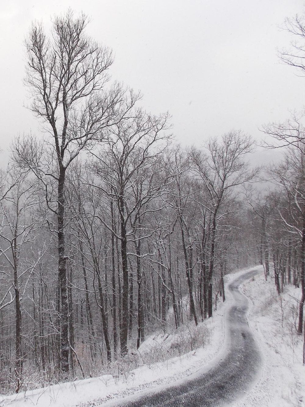 Snowy forest mountain trail for outdoor adventure navigation and hiking directions.