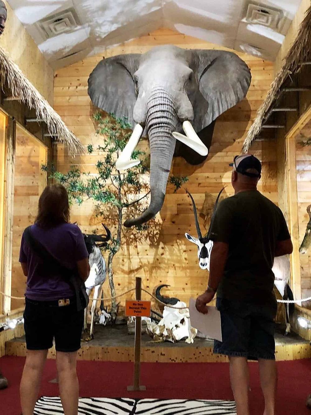 Vivid elephant exhibit with taxidermy in a safari-themed museum display.