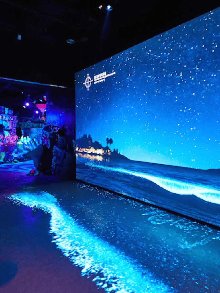 Starry night ocean scene at QuestForDirections immersive experience.