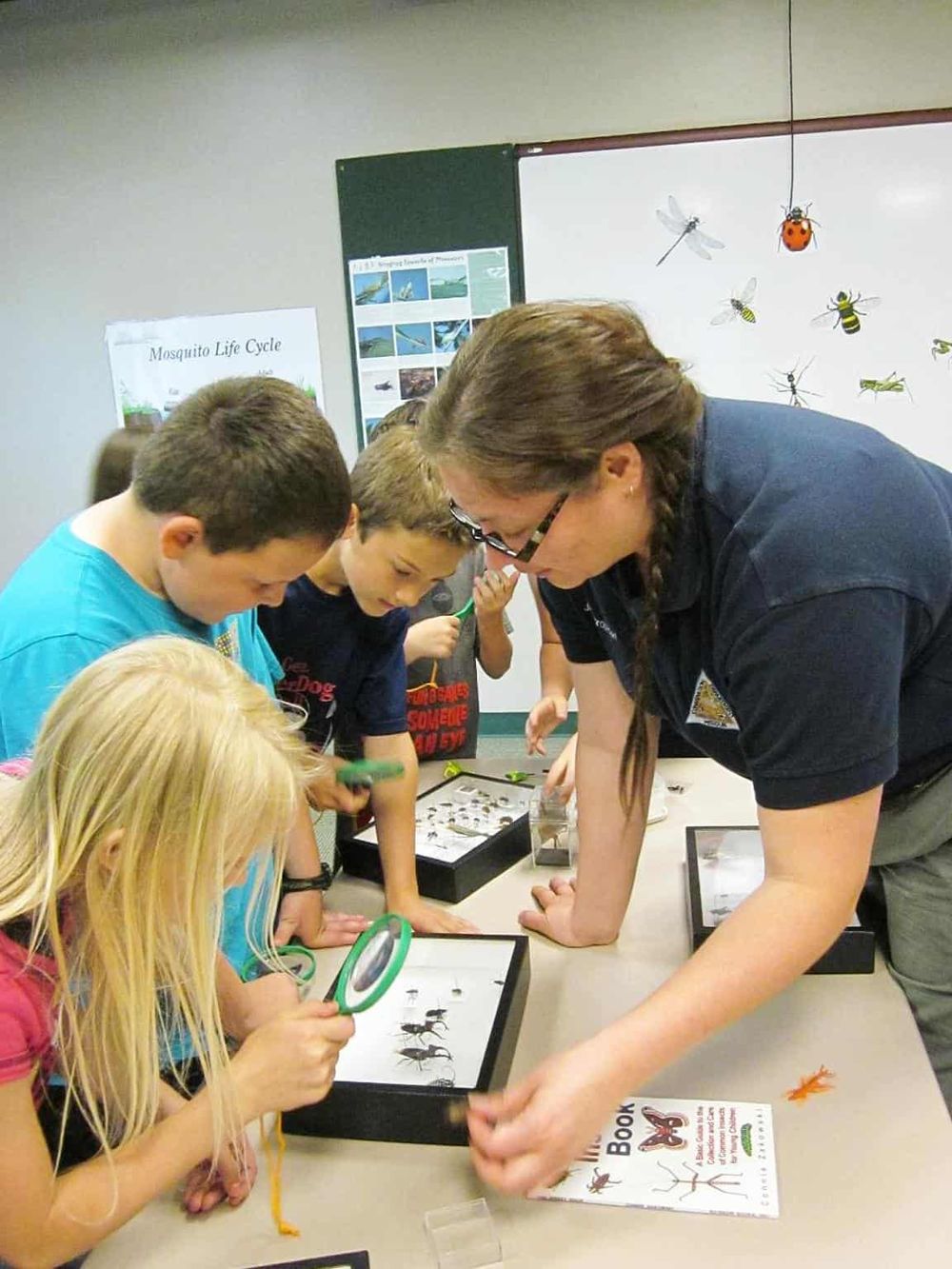 Ant insect education activity for kids, classroom learning about insect life cycles and biodiversity.