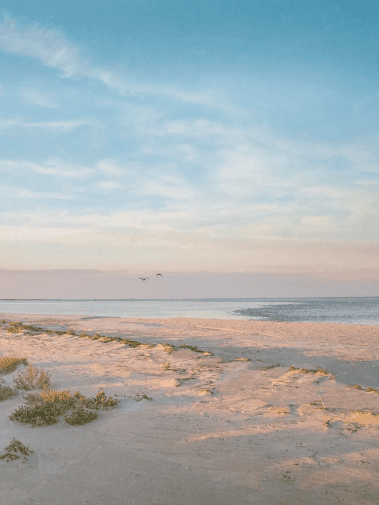 Seaside beach with clear sky and birds in flight, perfect destination for travel and relaxation.