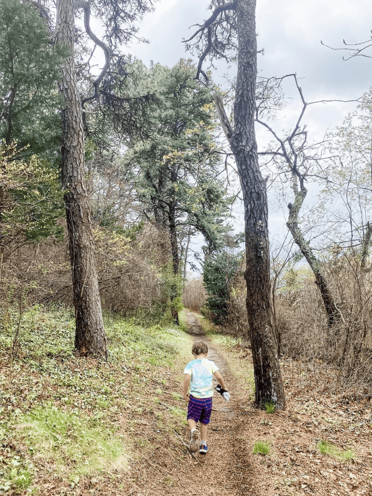 Children exploring a hiking trail through a forested area in natural outdoor setting.