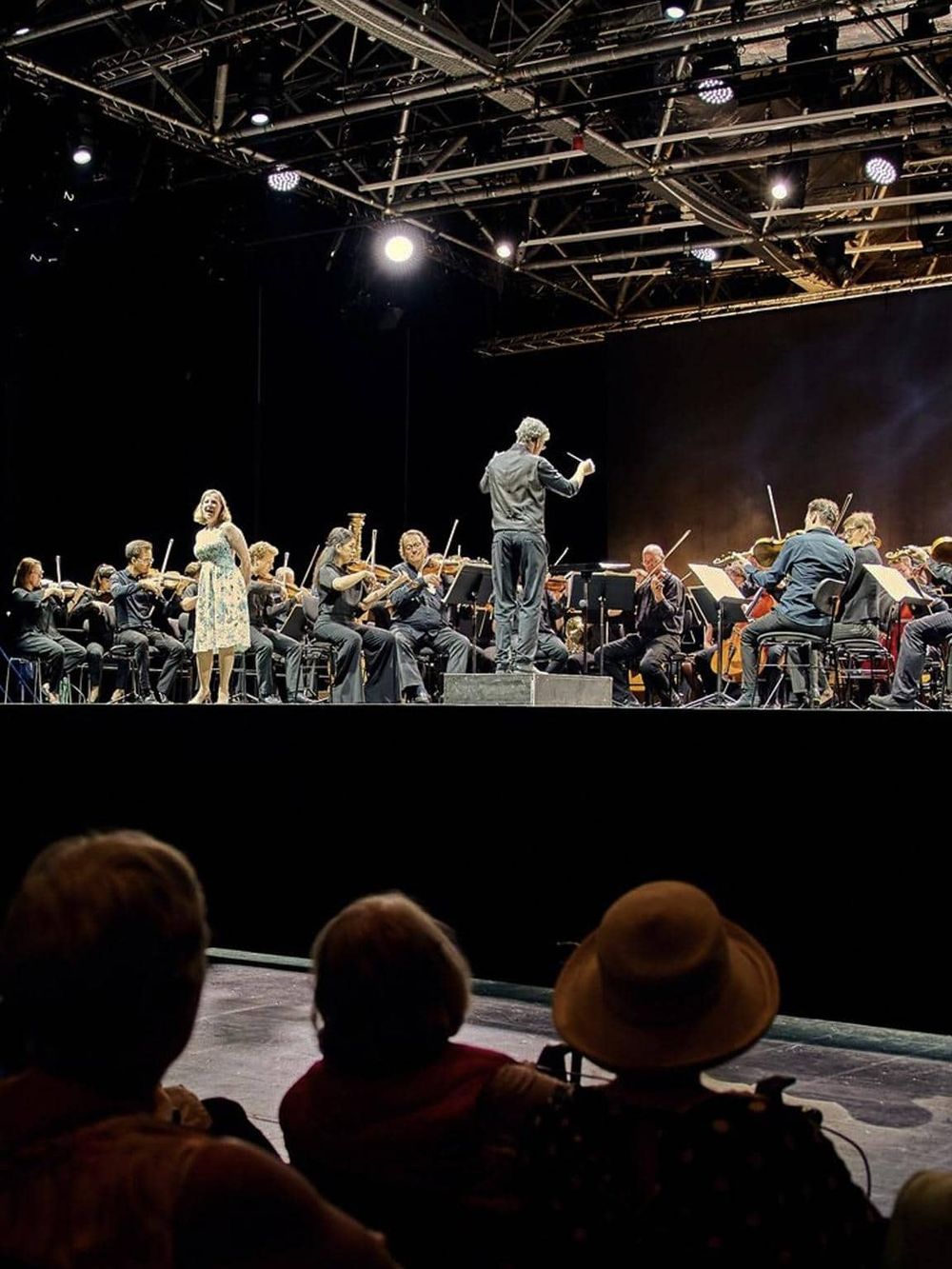 Elegant orchestral performance on stage with conductor; audience enjoying live classical music.