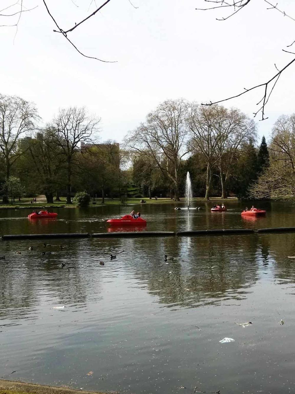 Boats on park lake with trees and fountain, scenic outdoor location for relaxation and recreation.
