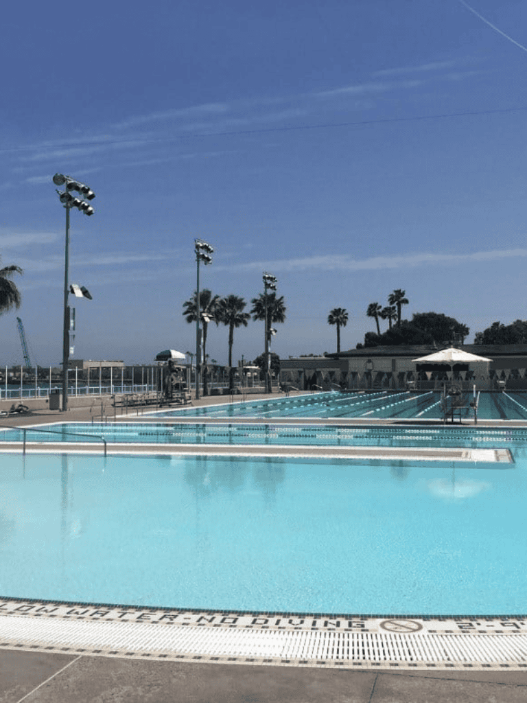 1. Outdoor pool with palm trees at Quest for Directions location.