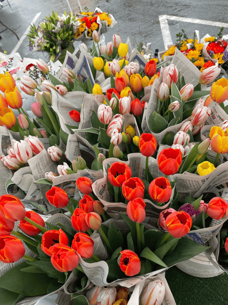 Colorful tulips wrapped in newspapers, arranged for a floral display or event.