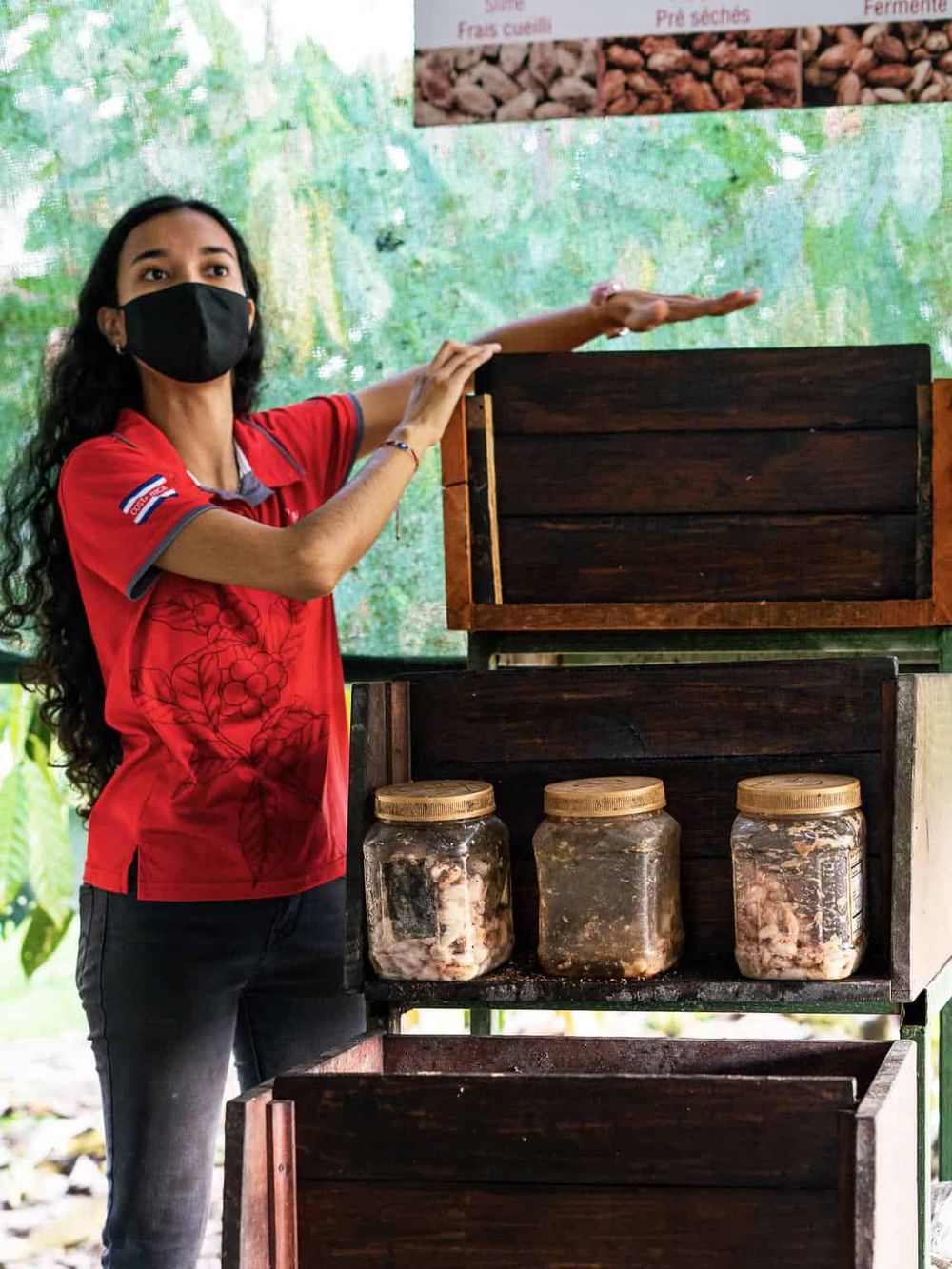 Organic coffee fermentation process at Quest for Directions initiative.