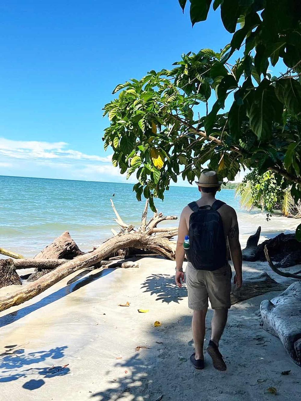 Seaside traveler exploring tropical beach with lush greenery and driftwood.