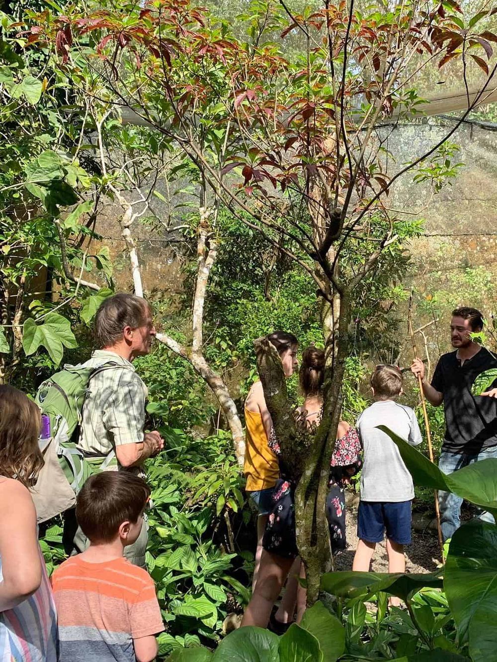 Lush jungle tour with diverse plants and engaged guide leading outdoor educational experience.