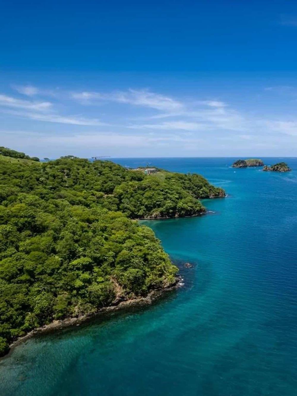 Vibrant coastal landscape with lush green trees and clear blue ocean water under a bright sky.