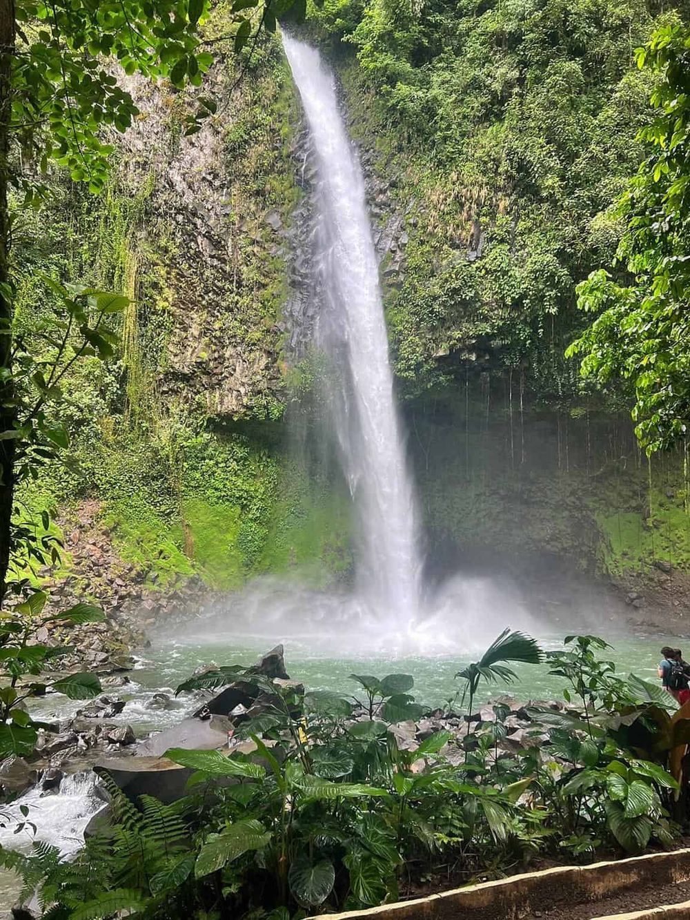 Majestic waterfall surrounded by lush green tropical forest, scenic natural beauty, and serene river landscape.
