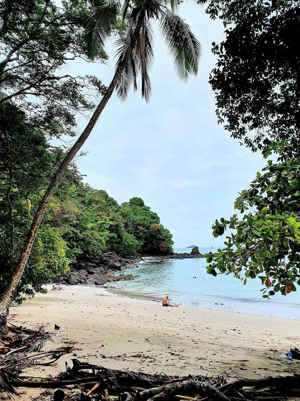 Tranquil tropical beach with palm trees, clear water, and relaxing atmosphere.