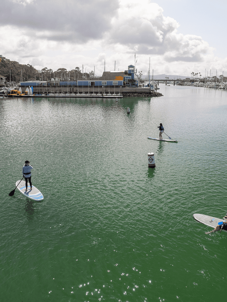 Sunset Harbor with paddleboarders and marina, scenic waterfront view, outdoor water activities, California coast, QuestForDirections.