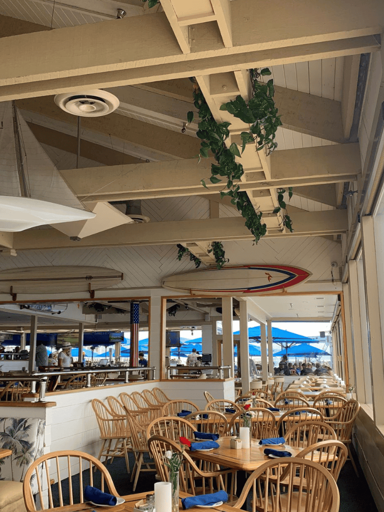 Vine-covered ceiling beams at Quest for Directions beachside restaurant and bar.
