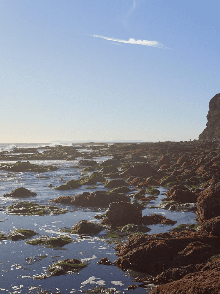Wavy ocean coastline with rocks and cliffs under a clear blue sky during daytime.
