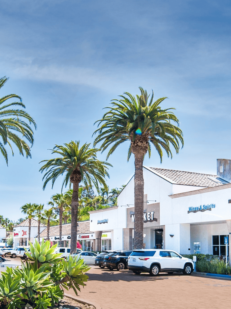 Sunlit shopping plaza with palm trees, retail stores, and parked cars, in a vibrant California setting.