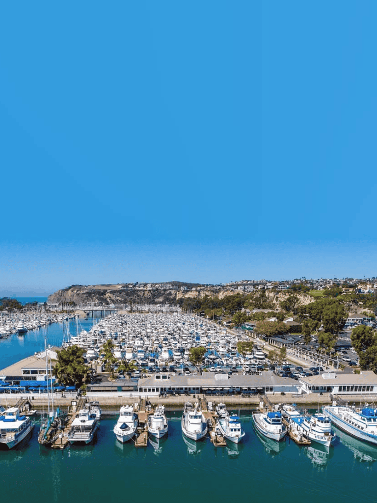 Marina with yachts and boats docking, scenic coastal view, and hillside residential area, illustrating leisure and travel destinations.