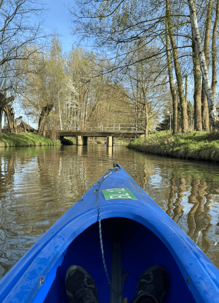 Calm river kayak adventure with lush trees and blue sky in the background.