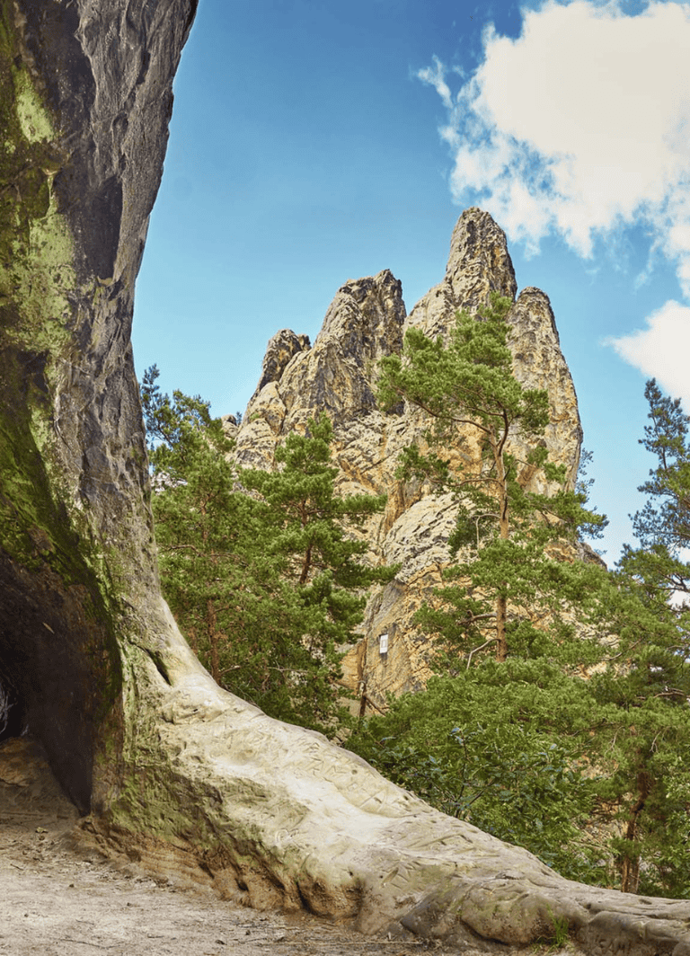 Ancient rocky mountains with forests in the Durmitor National Park, Montenegro.