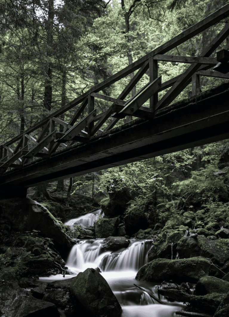 Serene forest stream with wooden bridge, nature scenery, tranquil outdoor escape, and lush greenery.