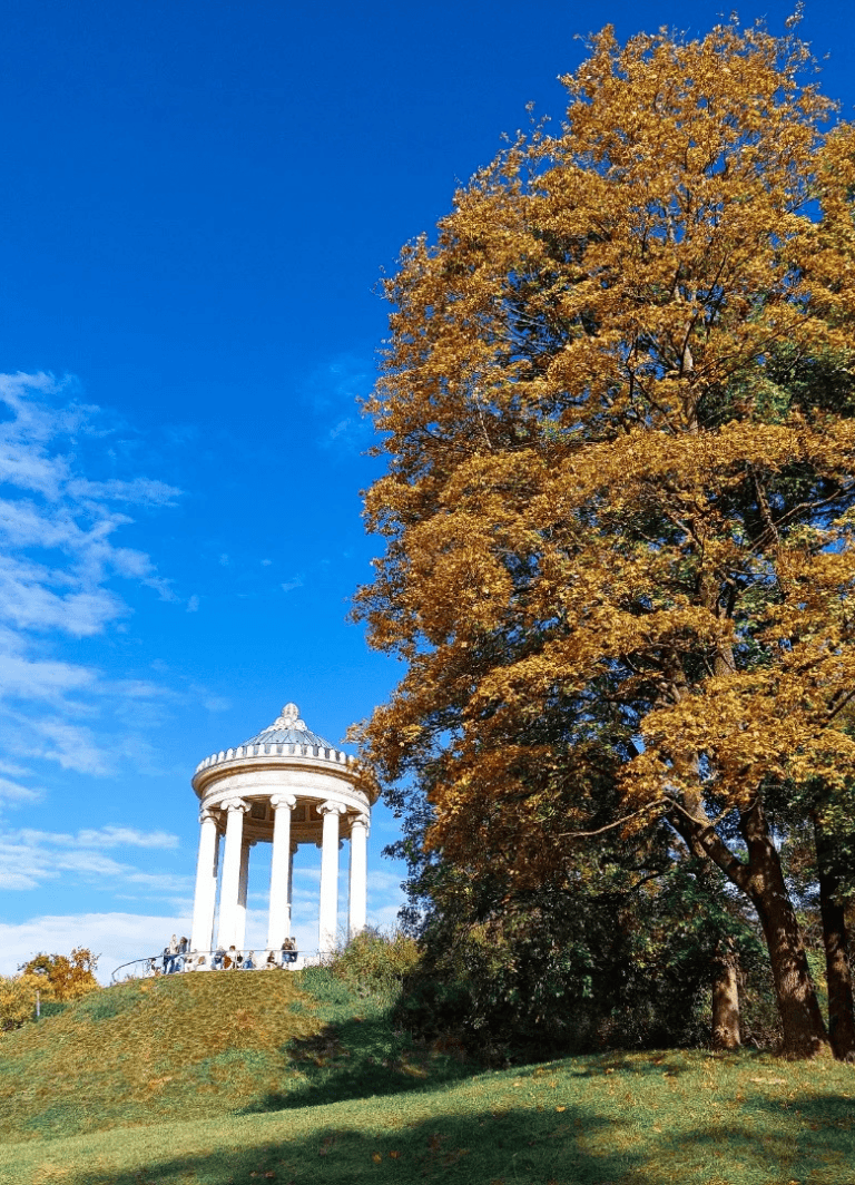 Golden autumn tree with historic monument gazebo in park during clear blue sky.