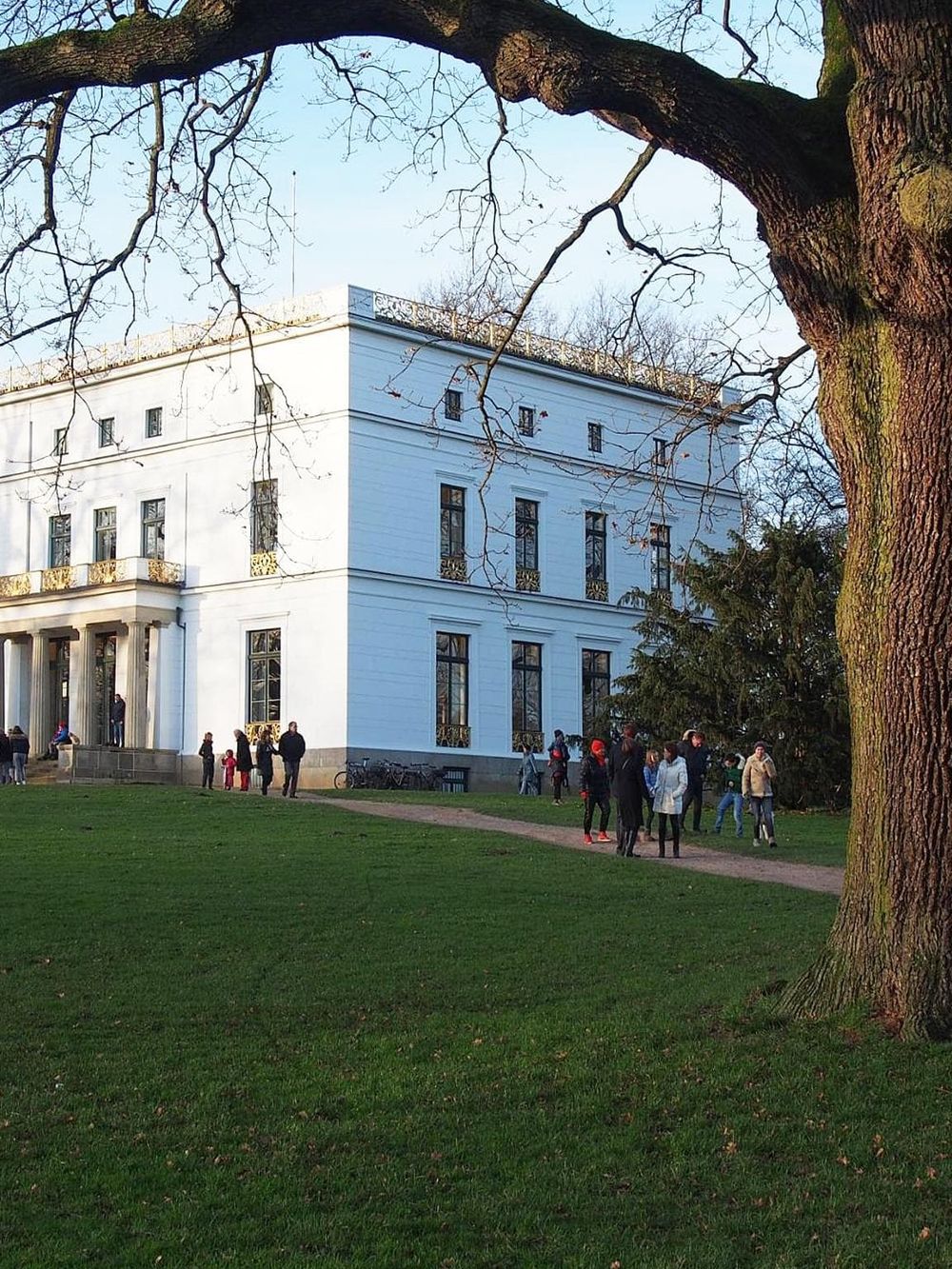 Historic white building with tall windows, surrounded by people, under a large tree with sprawling branches.