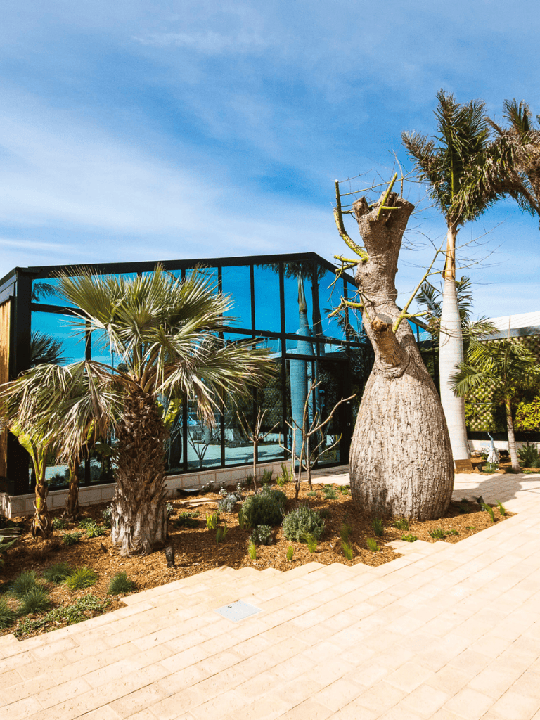 Modern glass building with lush tropical plants and palm trees, outdoor setting, sunny sky.