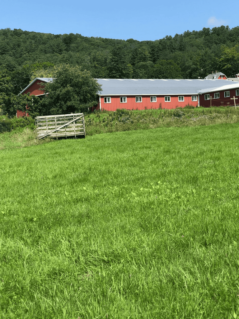 Red barn on green grassy field with trees and blue sky, rural farm scene.