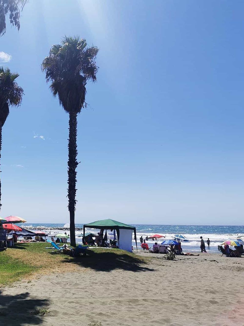 Sunny California beach with palm trees, blue sky, and colorful umbrellas for summer fun.