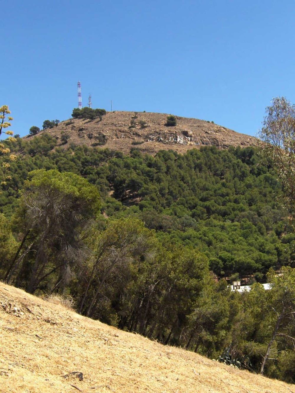 Scenic view of a hill with communication towers and lush green forest, showcasing natural beauty and technological infrastructure.