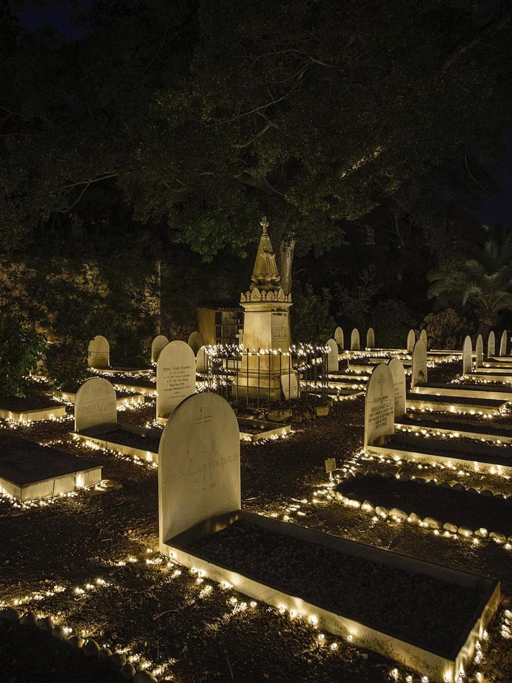 Nighttime cemetery with illuminated grave markers and a central monument under a large tree, peaceful and serene setting.