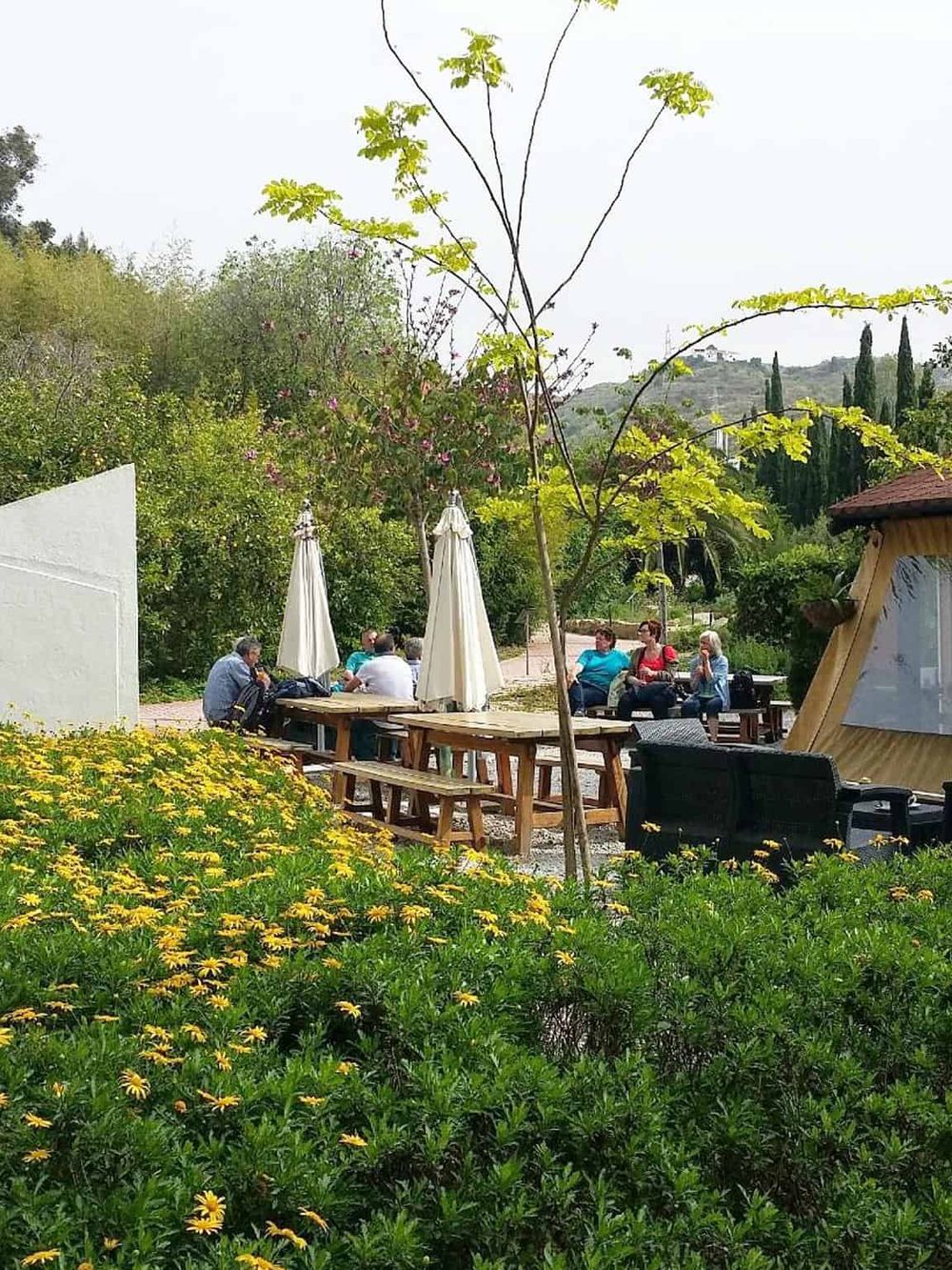 Outdoor garden seating area with picnic tables, umbrellas, and lush greenery, perfect for relaxation and socializing.