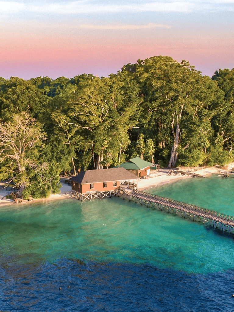 Secluded beachfront cabin with pier in lush tropical forest scenery, ideal for relaxation.