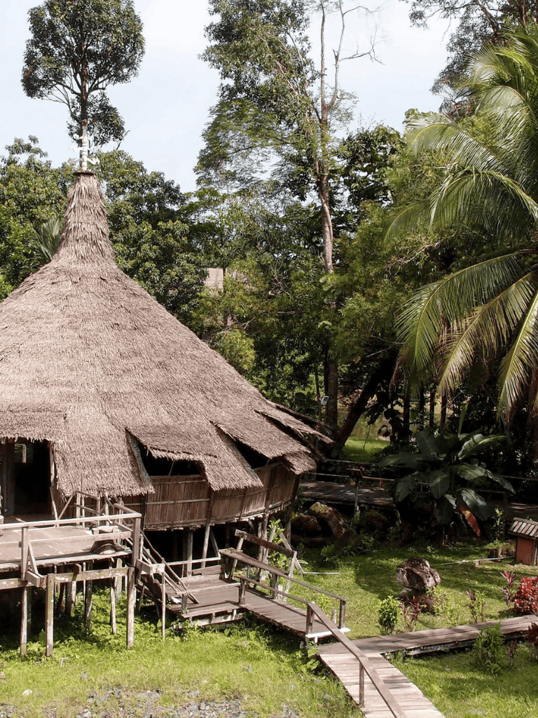 Traditional tropical hut surrounded by lush greenery and tall trees, offering a classic island getaway experience.