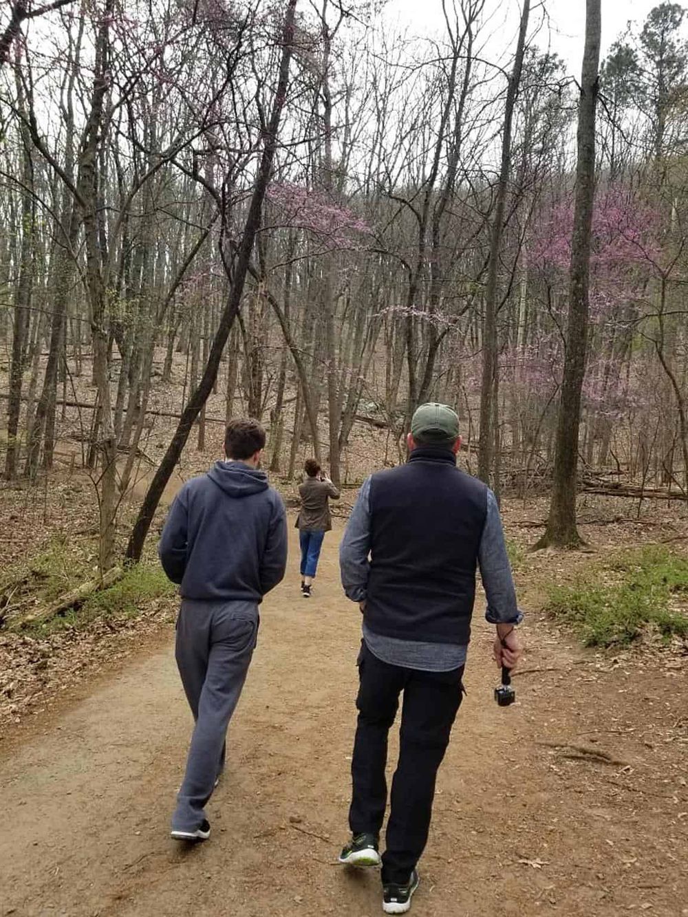 1. Trail hikers in a wooded park during daytime, exploring nature and outdoor adventures.