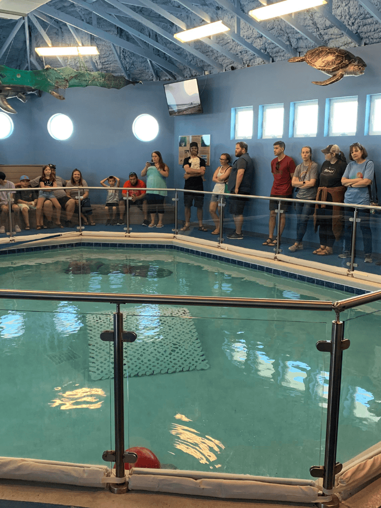 Colorful indoor marine exhibit at Quest for Directions aquarium, featuring diverse marine life and educational displays.