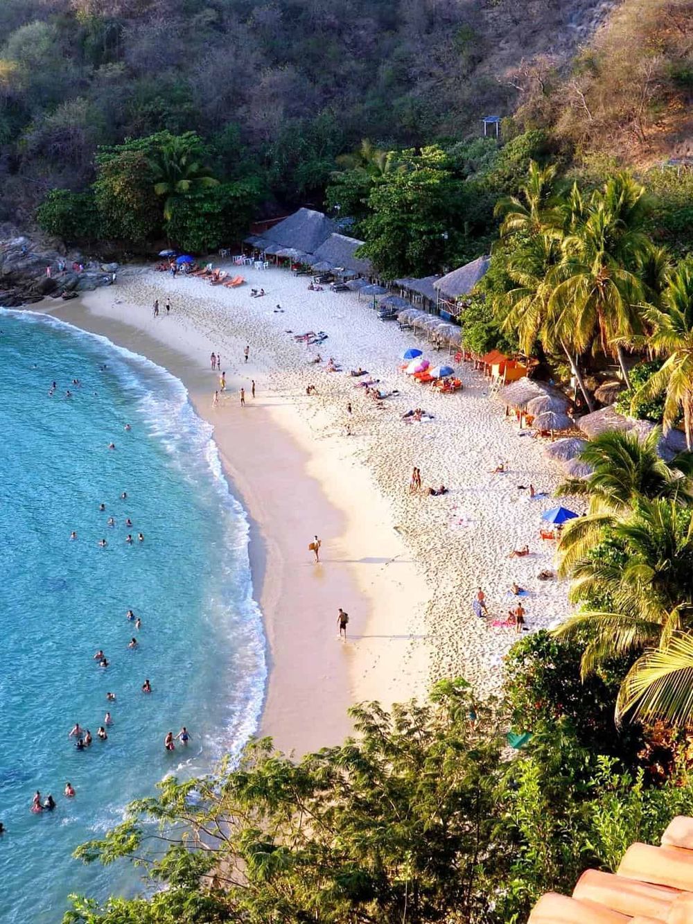 Pristine beach with turquoise water, lush greenery, and sunbathers enjoying a tropical getaway.