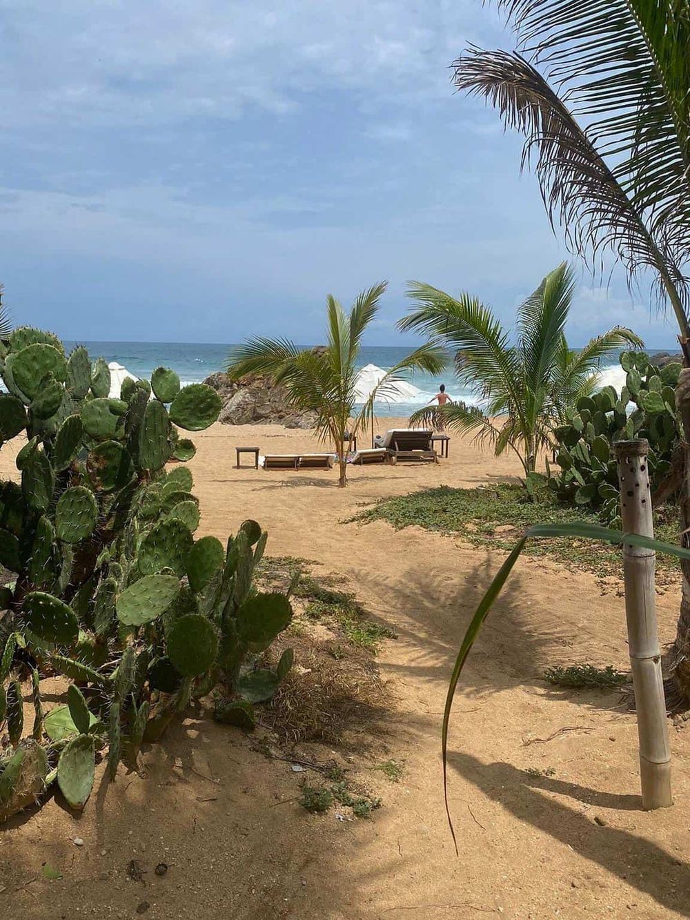 Relaxing beach scene with palm trees, cacti, and lounge chairs overlooking the ocean, perfect for travel and vacation imagery.