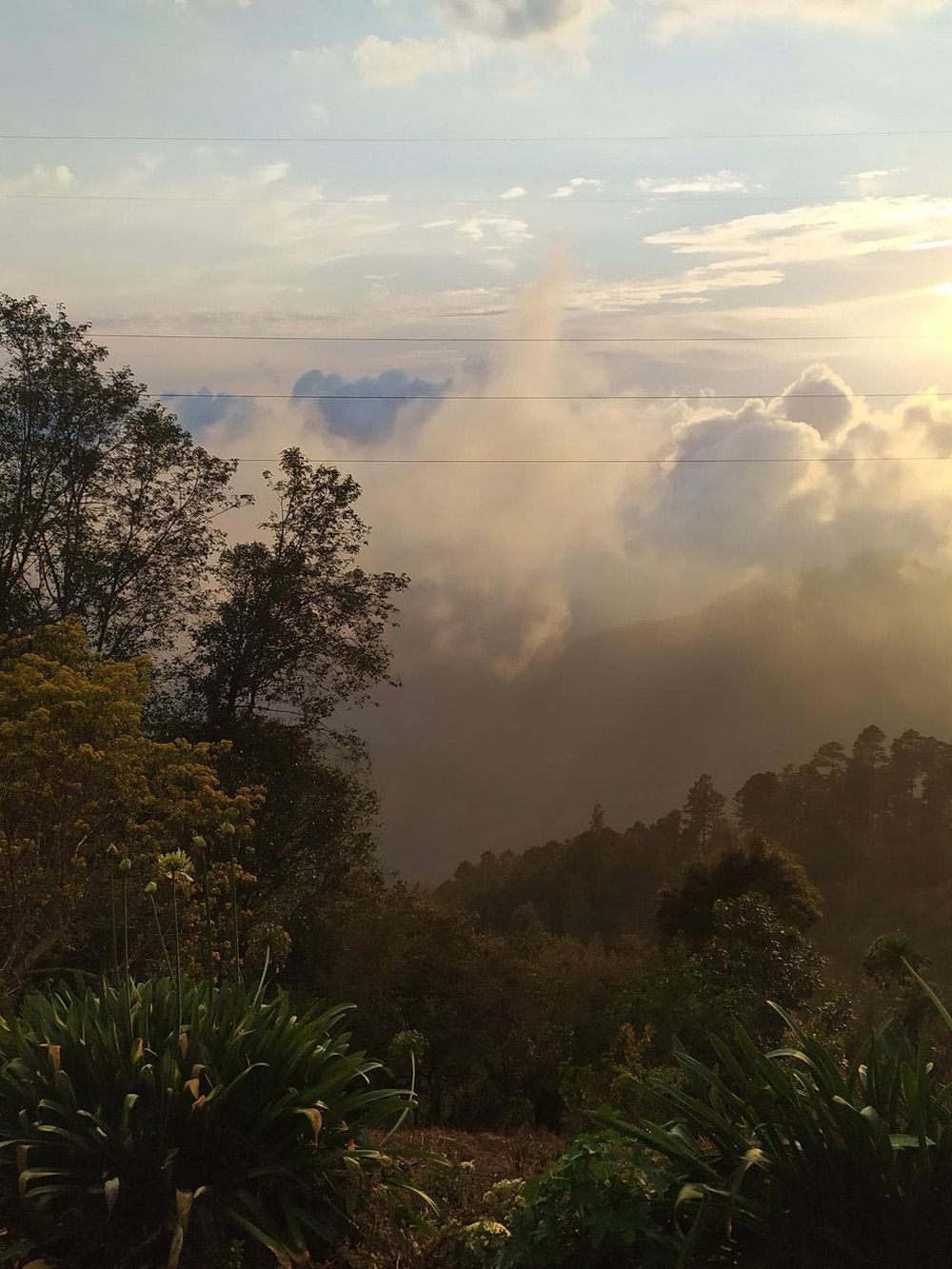 Vibrant mountain landscape at sunrise with lush greenery and cloudy sky, perfect for outdoor adventure and nature exploration.
