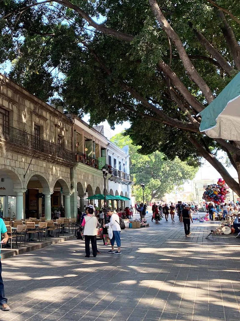 Colorful outdoor market scene with historic architecture, bustling crowd, and shaded pedestrian street.