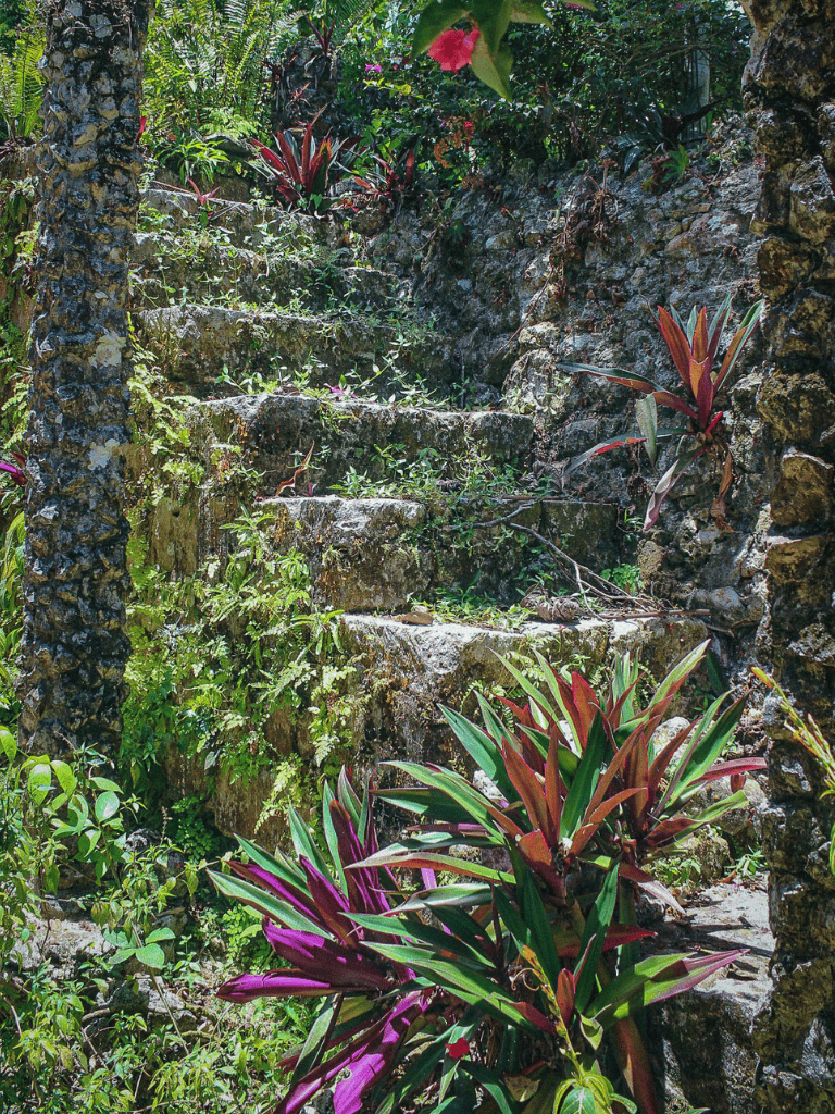 Lush tropical garden with stone steps and vibrant red and green plants.