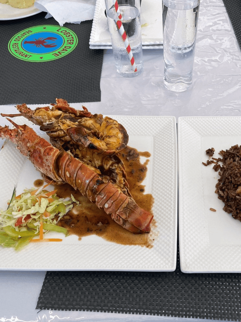Succulent lobster tail served with flavorful lobster sauce, side salad, and rice at Quest for Directions restaurant.