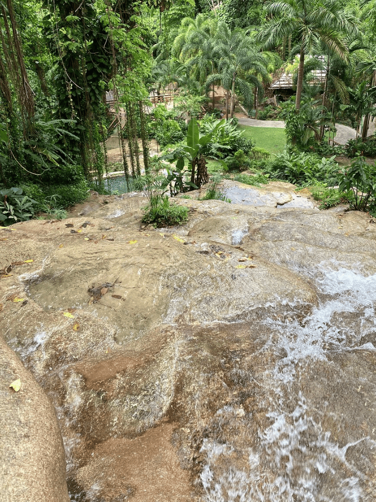 Lush tropical jungle with waterfalls and walking paths at Quest for Directions resort.